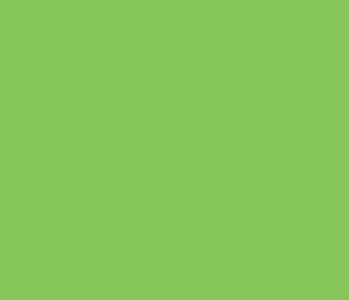 MTN WB Brilliant Light Green Paint Refill 200ml