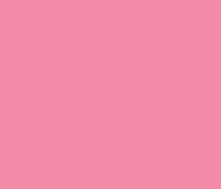 MTN Water Based Marker Quinacridone Rose RV-211 *5mm